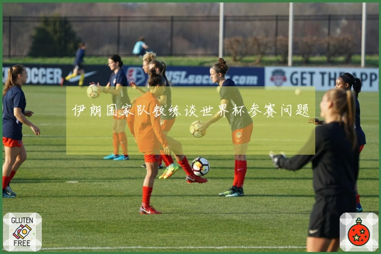 伊朗国家队教练谈世界杯参赛问题